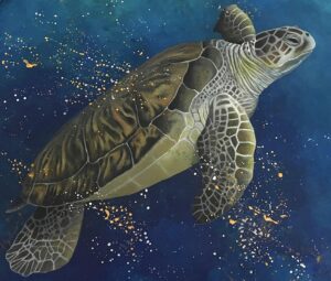 5993ca52 db81 4970 bbc9 08e1d70f0d5d